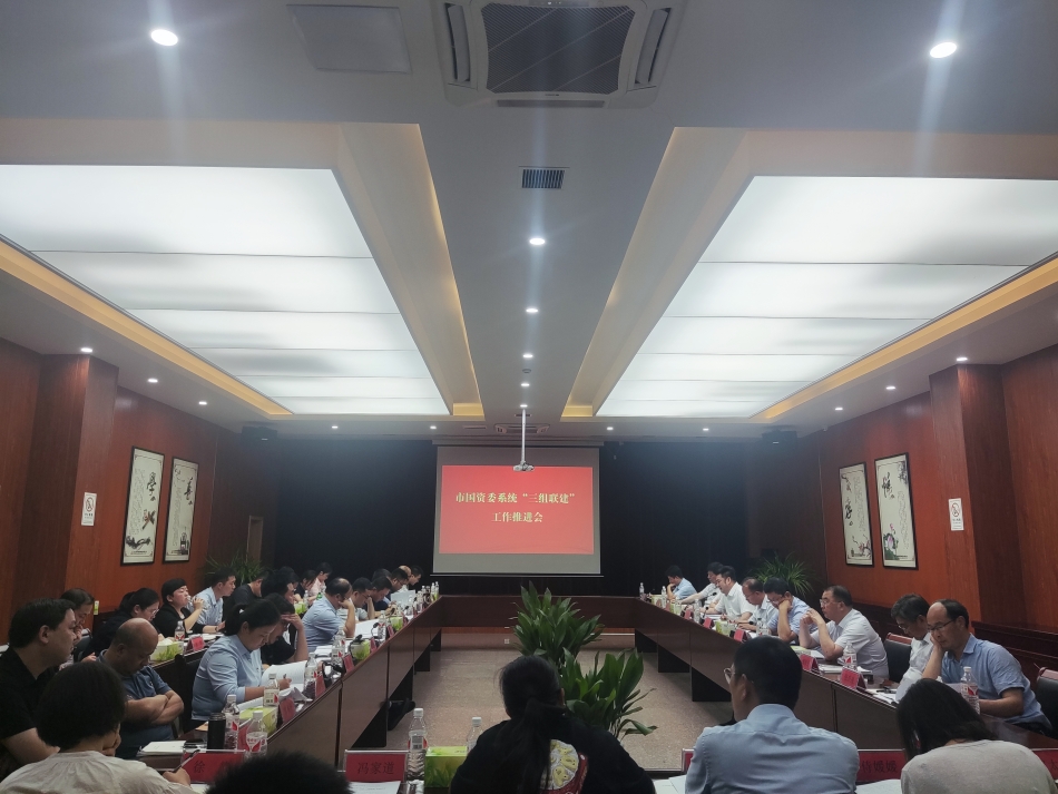 2024年7月17日，市國資委系統(tǒng)在公司開展“三組聯(lián)建”現(xiàn)場(chǎng)觀摩（推進(jìn)會(huì)）_副本